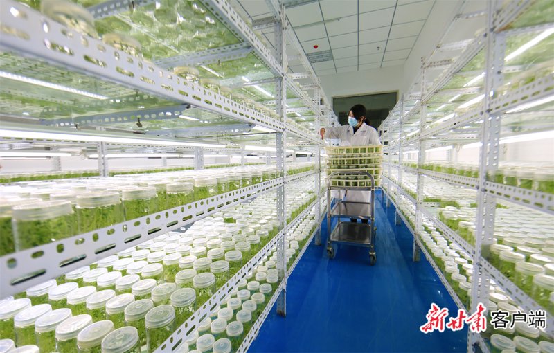 生物技术研发：开启未来之门