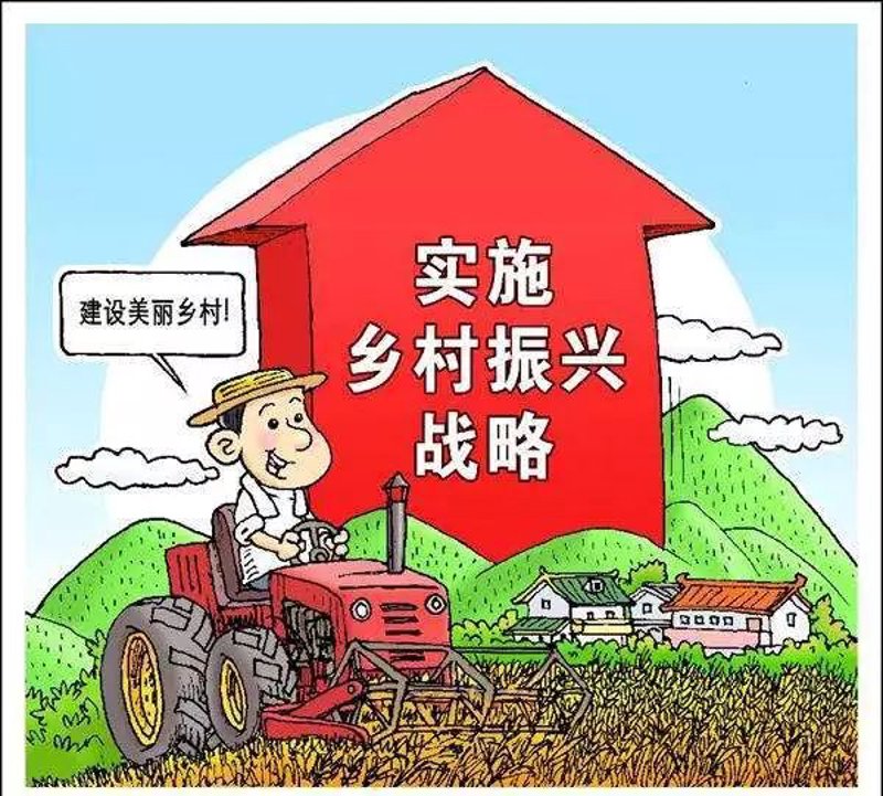 瓜果种植技术大揭秘