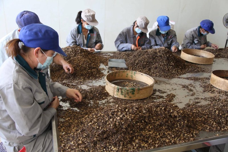 瓜园生物：如何在竞争激烈的市场中脱颖而出