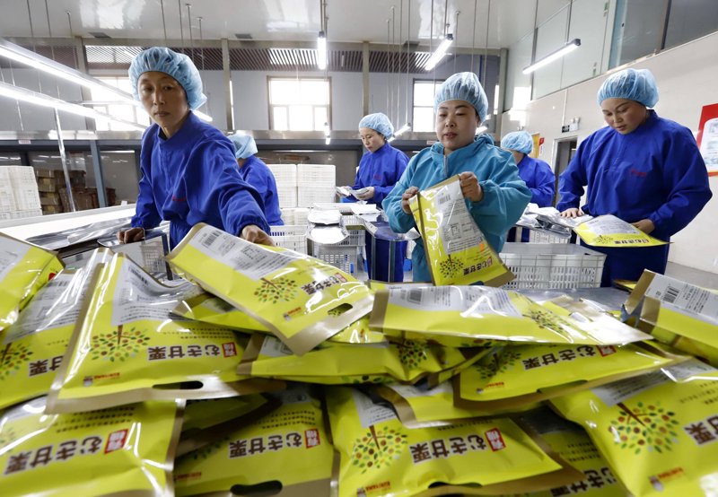 瓜园生物：揭秘这家农业科技企业背后的秘密