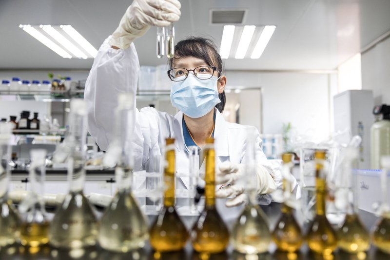 白银生物科技：一场科技与自然的完美邂逅
