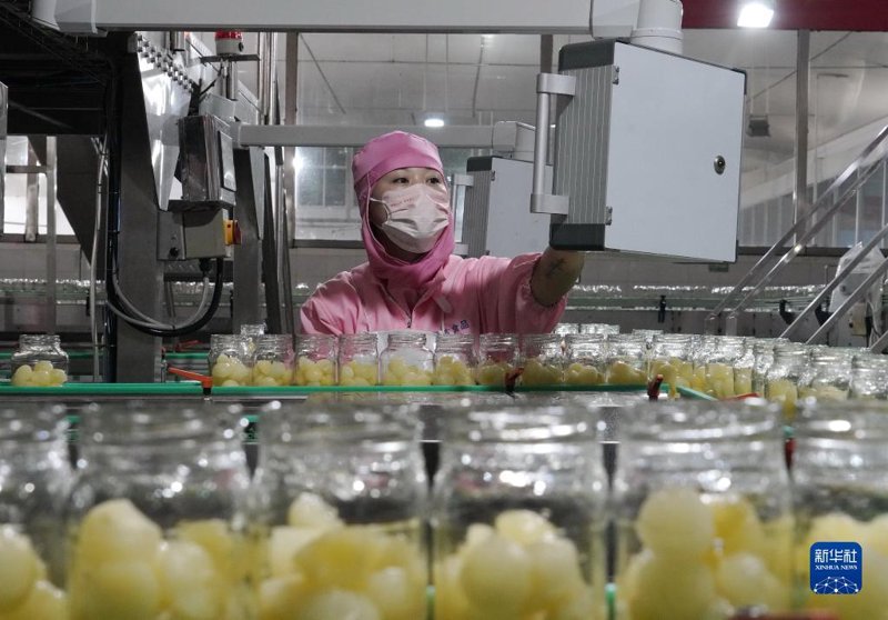 农业科技的革命：传统与现代如何共舞
